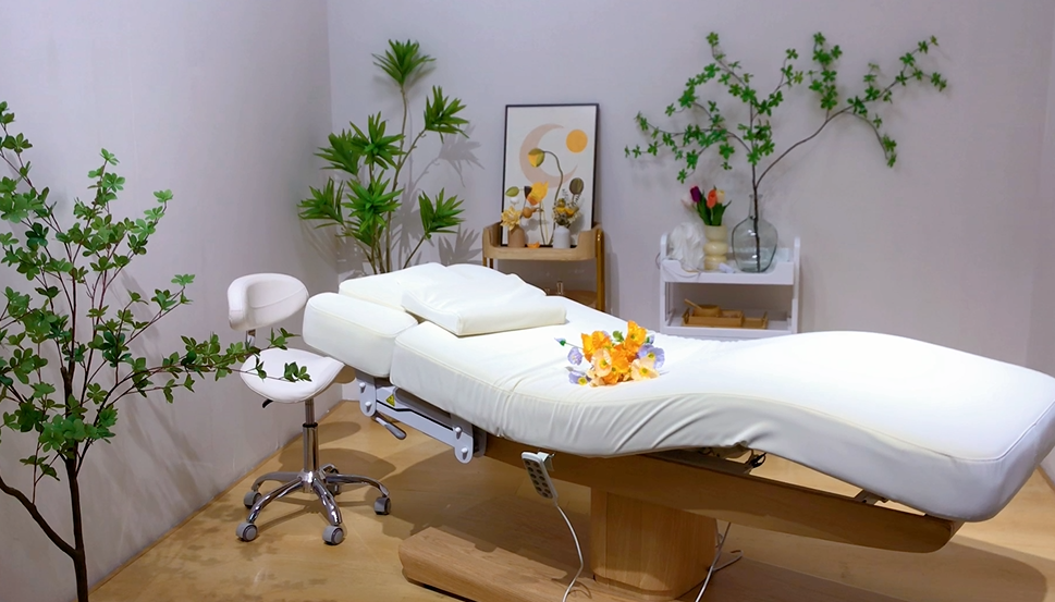 electric beauty beds