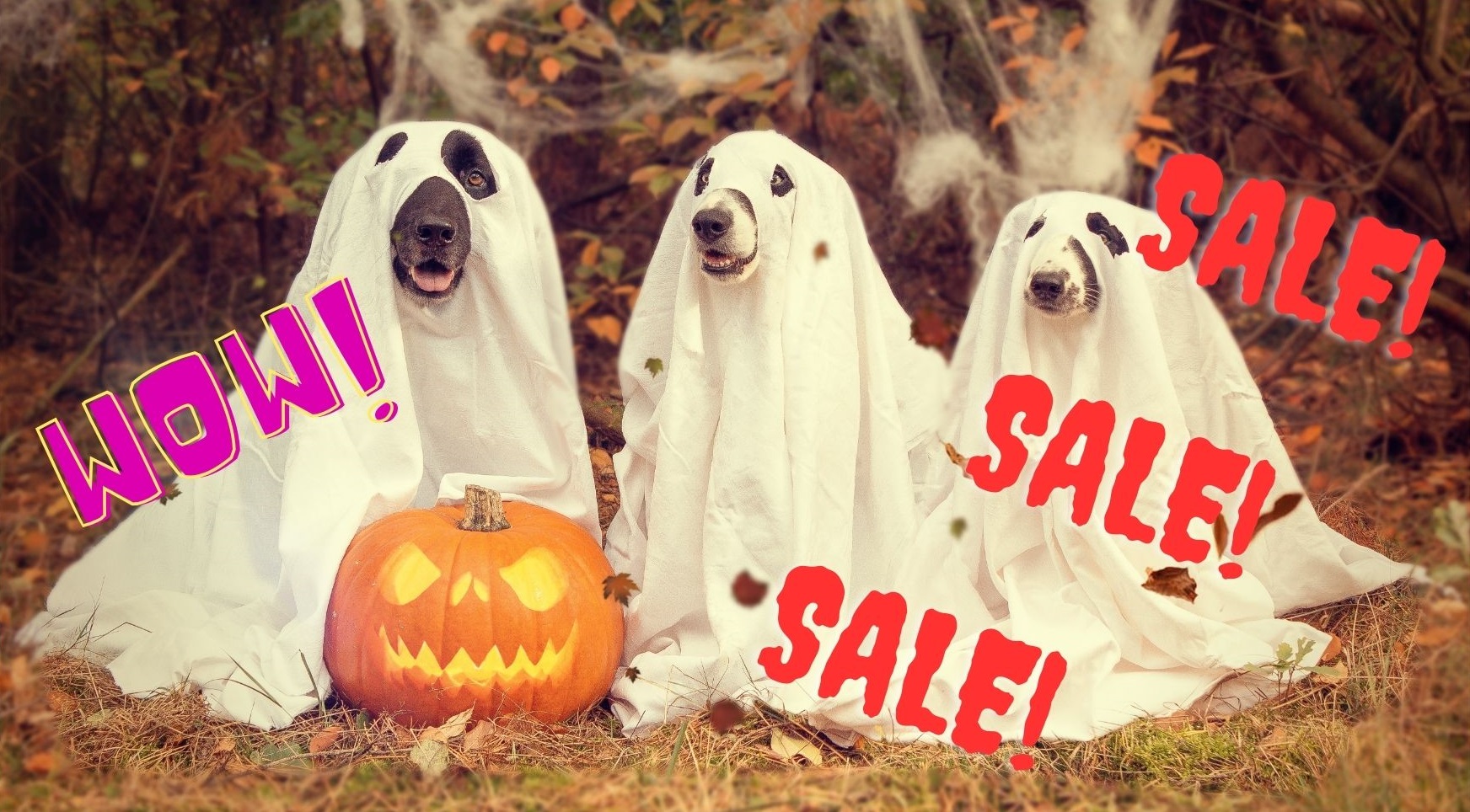 sales!.jpg