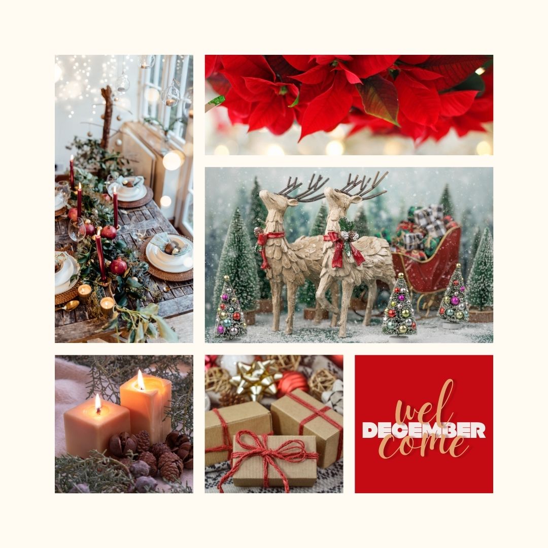 Salon Christmas Decorations-3.jpg