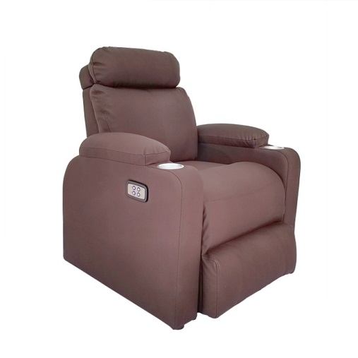 Dogpin Hair Spa Sofa Chair-1