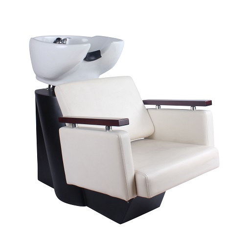 Dongpin Salon Backwash Unit-1
