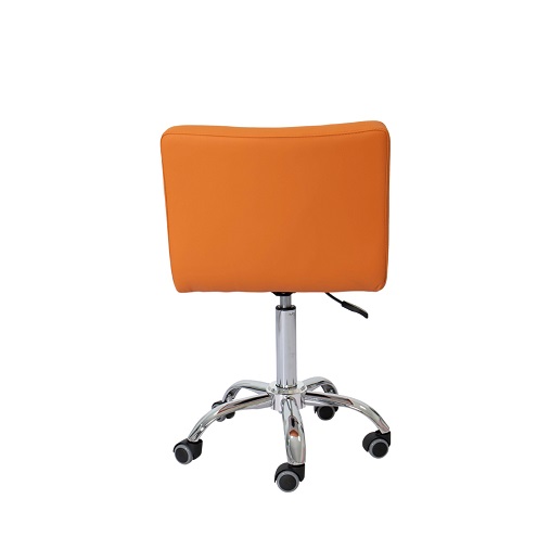 Adjustable Swivel Salon Chair-4