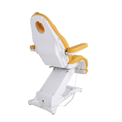 8197-1-electric-facial-bed
