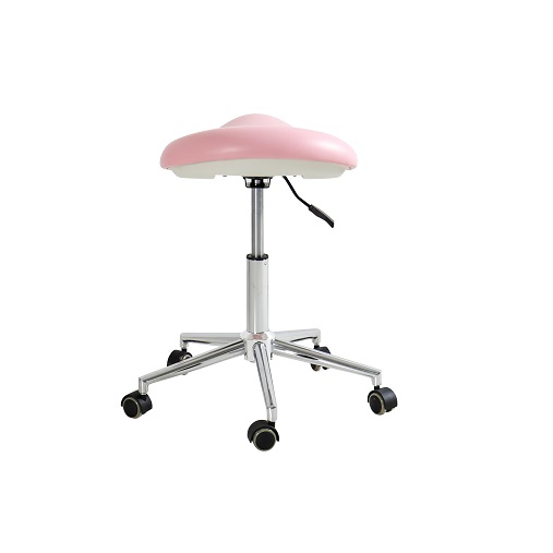 Y913 -1-salon-chair