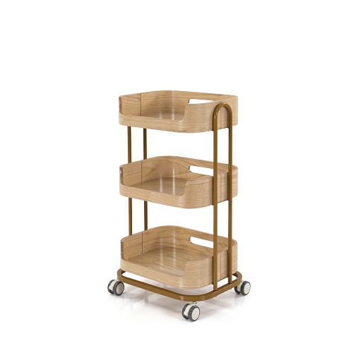 dongpin salon trolley-2