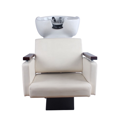 Dongpin Salon Backwash Unit-5