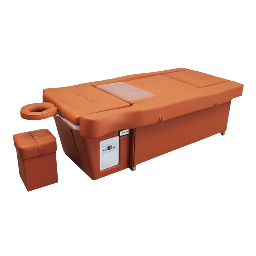 Head Spa & Foot Bath All-in-One Electric Spa Bed with Water Circulation-2