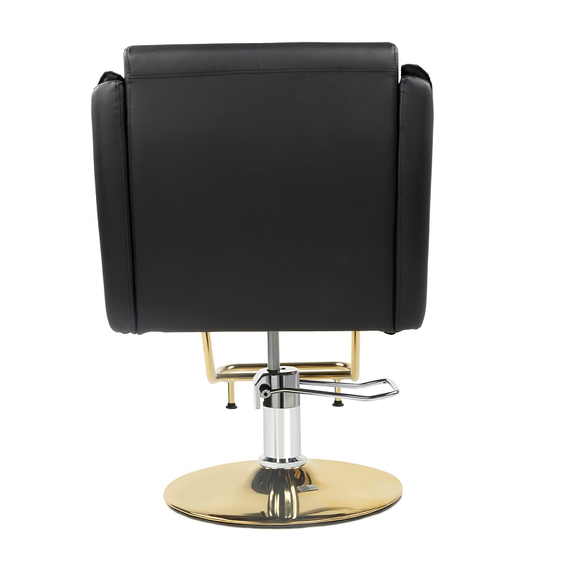 dp-b171-barber-chair-black-gold-rear-view