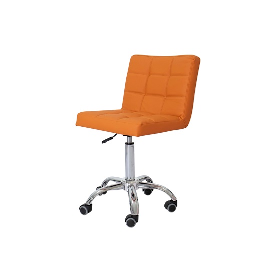 Adjustable Swivel Salon Chair-2