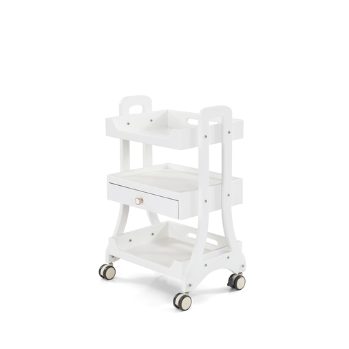 mobile salon trolley-2