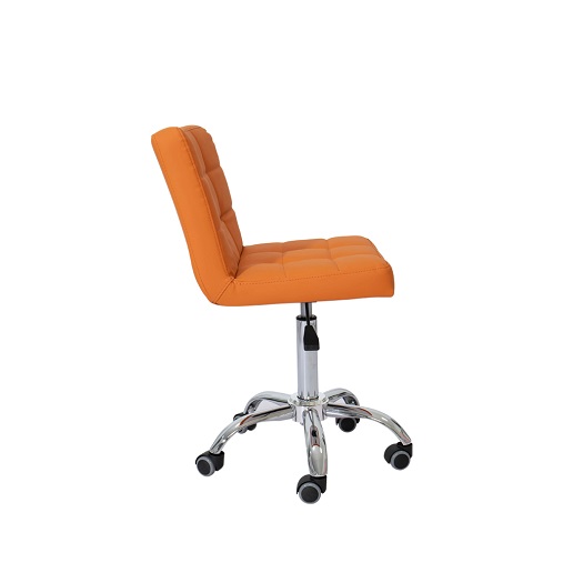 Adjustable Swivel Salon Chair-5