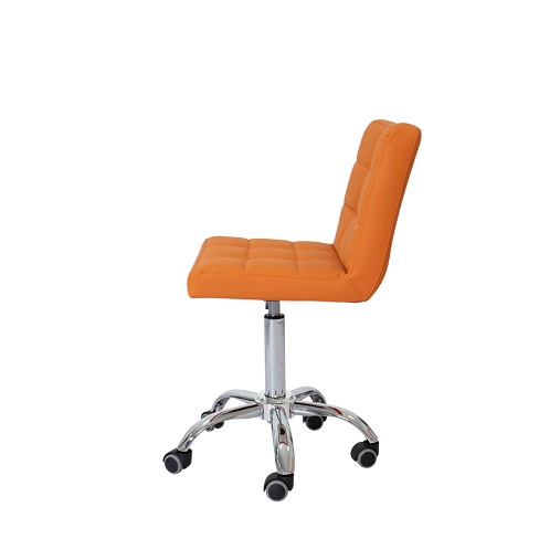 Adjustable Swivel Salon Chair-3