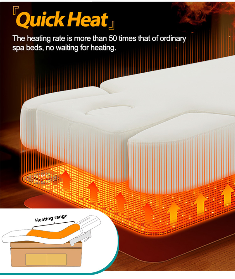 Dongpin Electric Spa Bed DP-G042MF High Quality Eco Leather and Wooden Base Design Dongpin spa bed DP-G042MF with eco-friendly leather surface high-density sponge and solid wooden base storage compartment