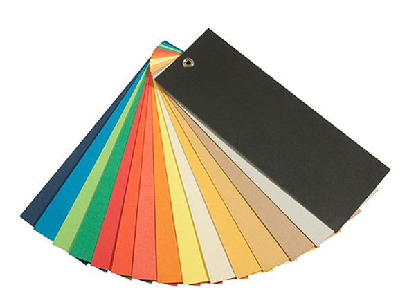 Leather color