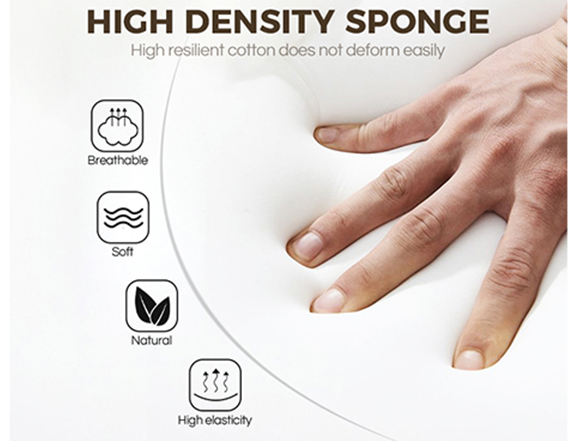 Sponge